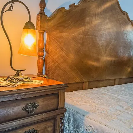 Ninho Do Melro Ii - Bragança