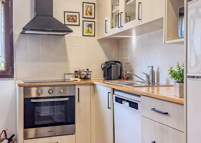 Ninho Do Melro Ii - * ブラガンサ